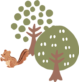 イラスト：リス